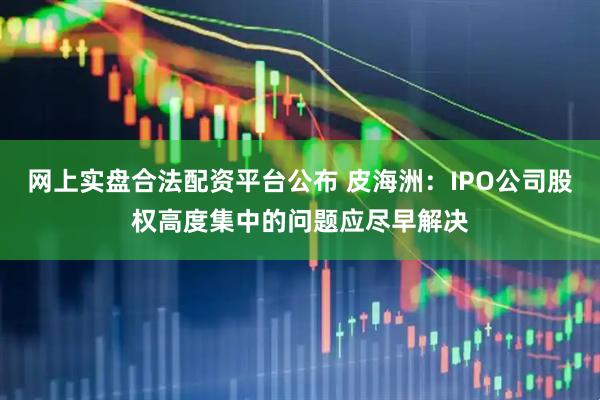 网上实盘合法配资平台公布 皮海洲：IPO公司股权高度集中的问题应尽早解决